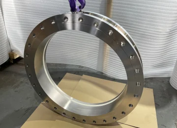 Large flange ring of a swivel joint